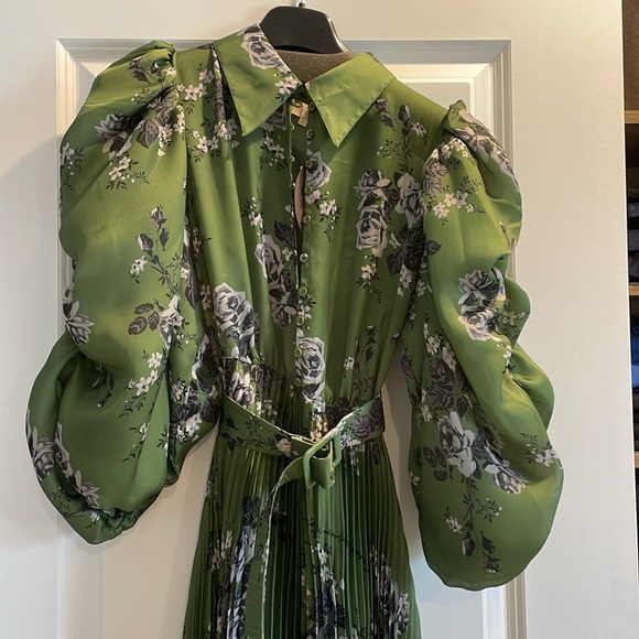 By Timo pleated Dress. Size Large. Brand new. Green Roses - Picture 3 of 9